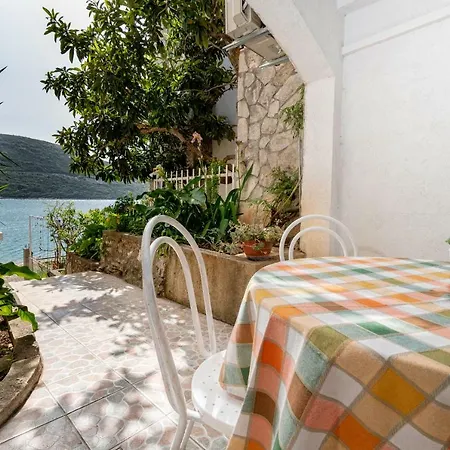 Sentic Neum